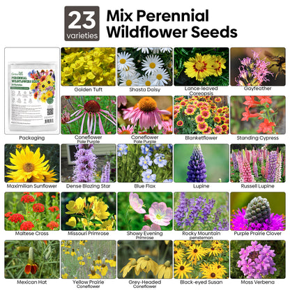 10000+ All Perennial Wildflower Seeds 1 OZ 23 Varieties