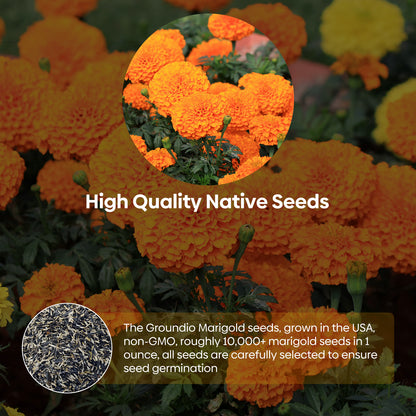 Marigold african seeds 1oz