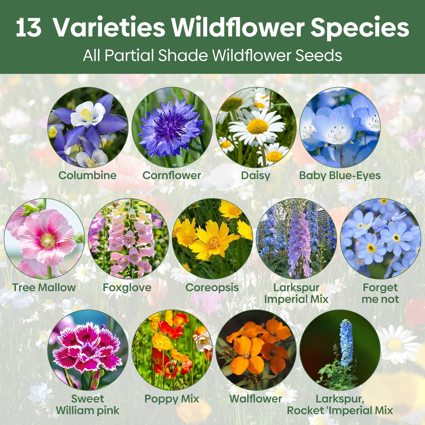 13 Varieties Partial Shade Wildflower Seeds