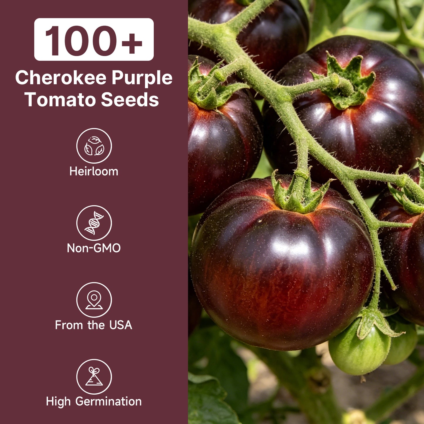 Cherokee Purple Tomato Seeds, Approx 106 Seeds
