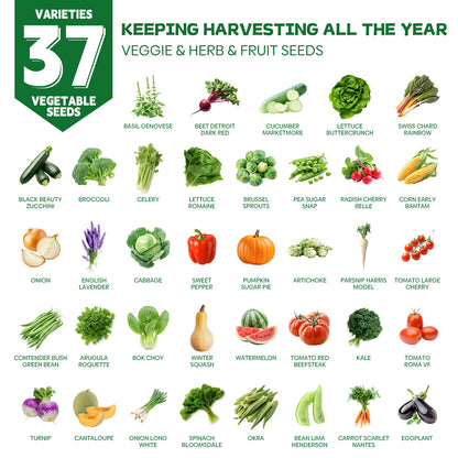 37 Vegetable Seeds Variety Pack - 25000+
