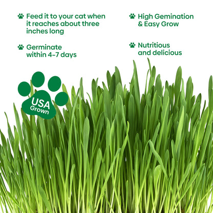 Cat grass 4 Varieties mix 16oz