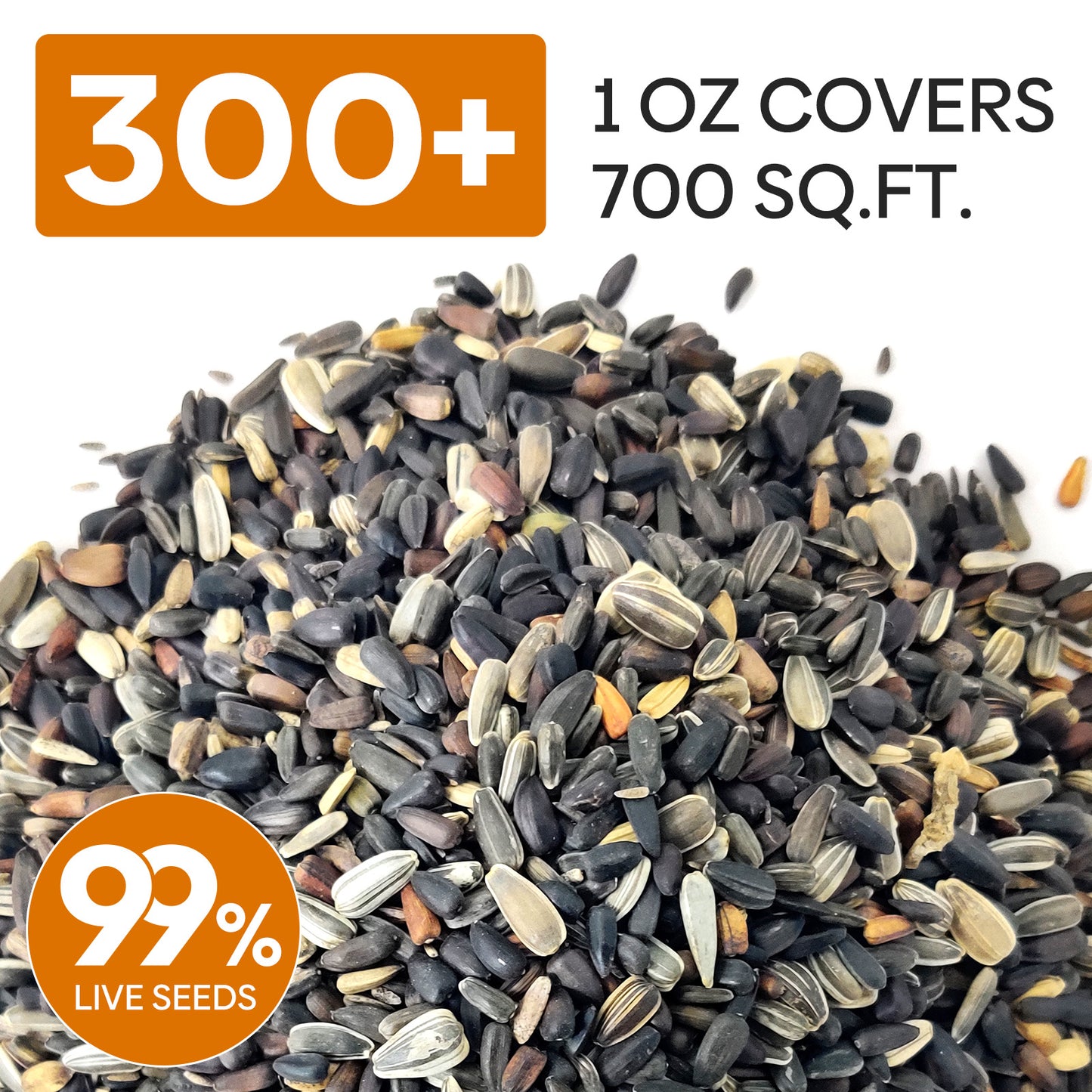 Mixed Sunflower Seeds 1oz