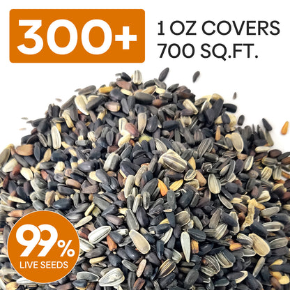 Mixed Sunflower Seeds 1oz