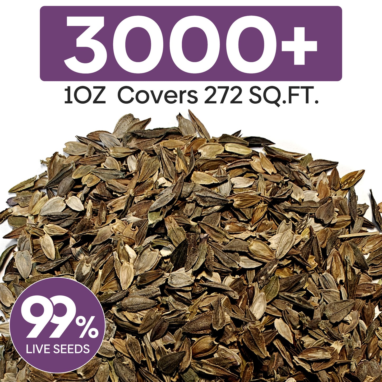 Zinnia Seeds Mix