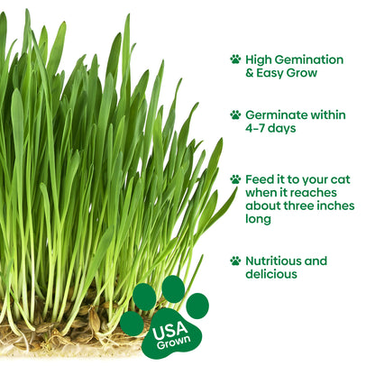 Cat grass seeds 4oz