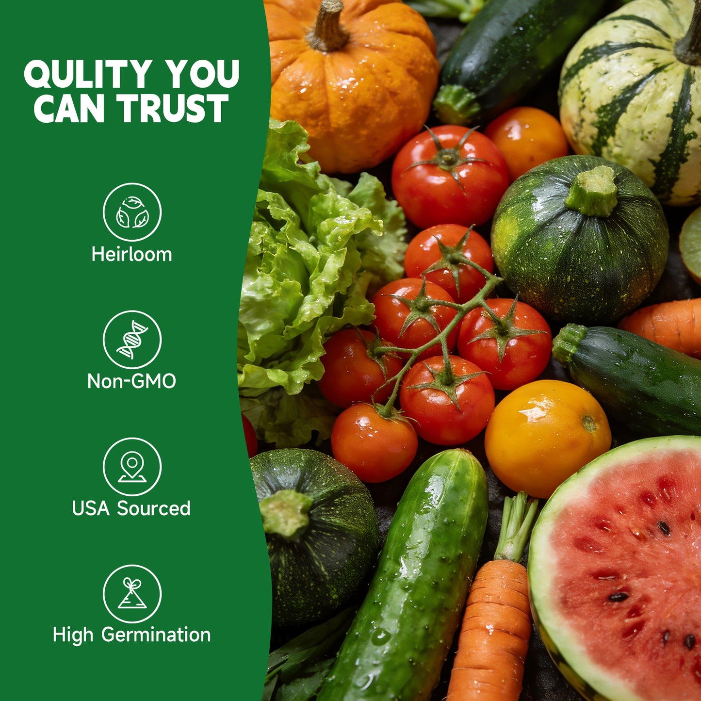 37 Vegetable Seeds Variety Pack - 25000+