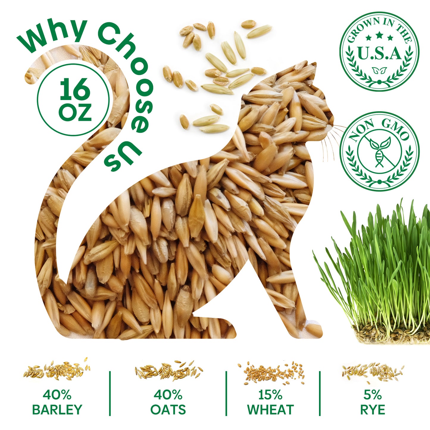 Cat grass 4 Varieties mix 16oz