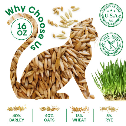 Cat grass 4 Varieties mix 16oz