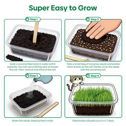 All in 1 Cat Grass Growing Kit for Indoor Cats, Organic Wheat & Oat Seed