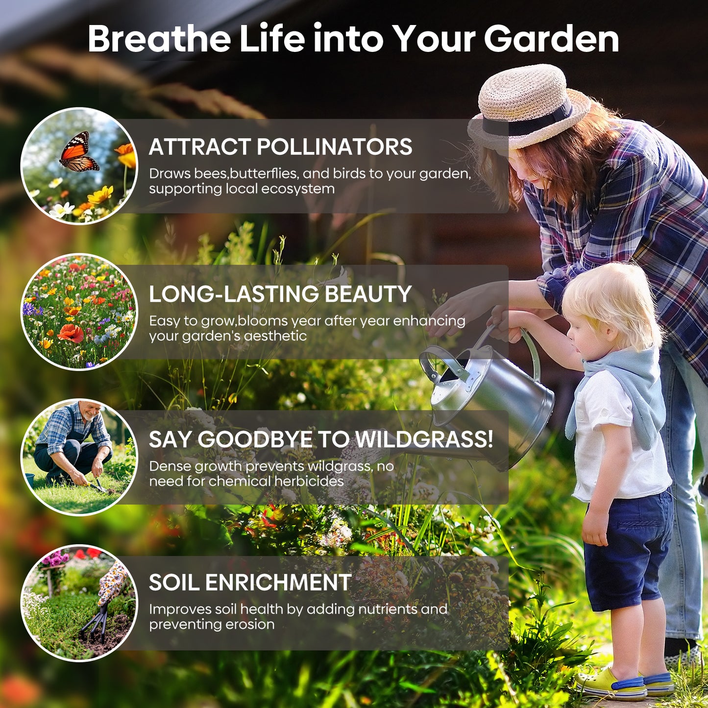 10000+ All Perennial Wildflower Seeds 1 OZ 23 Varieties