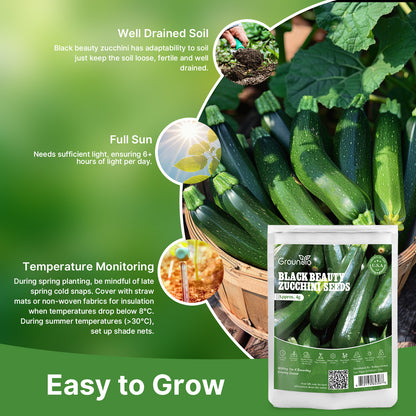 Black Beauty Zucchini Seeds for Planting