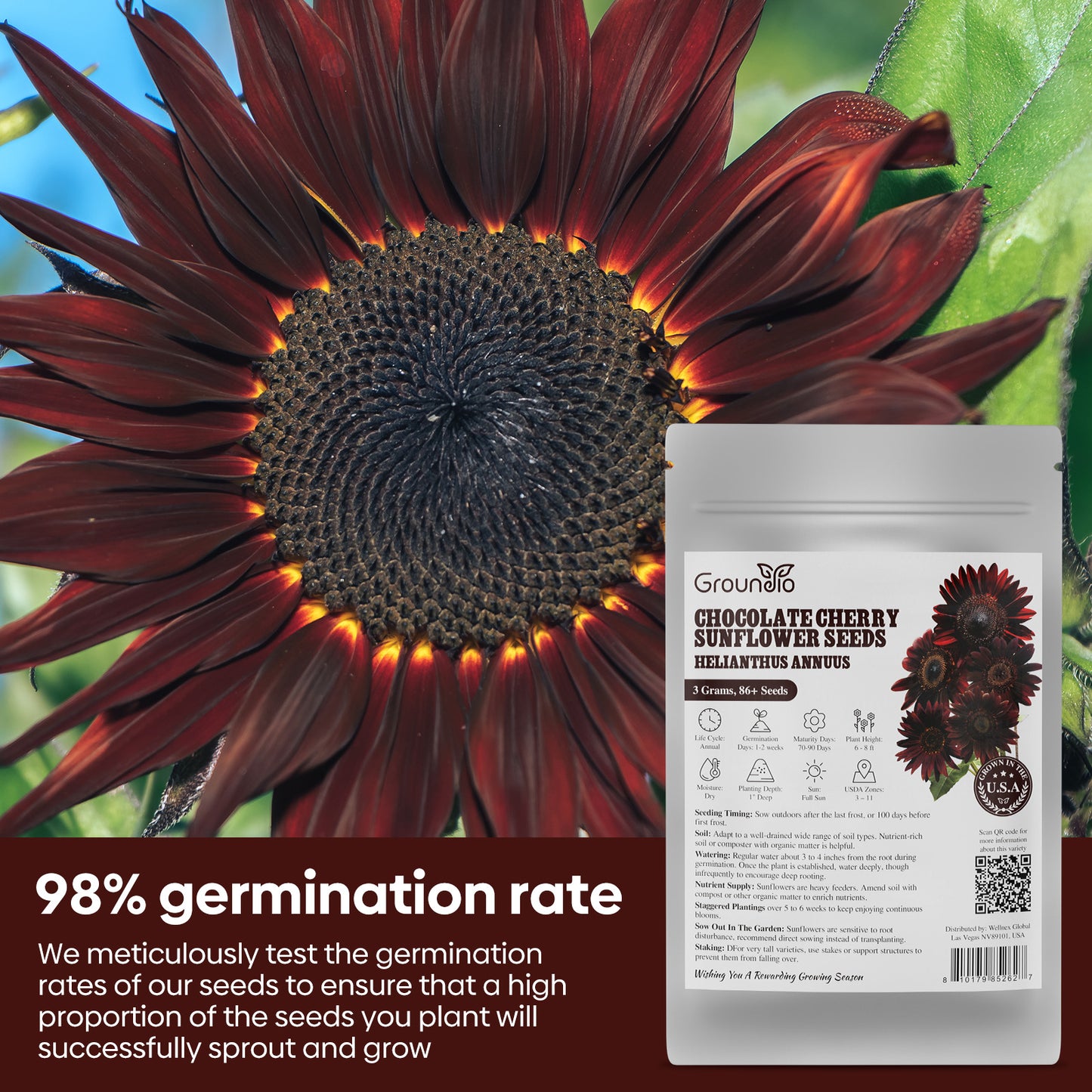 Chocolate Cherry Sunflower Seeds
