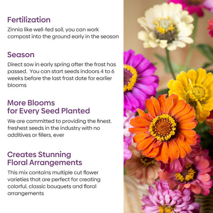 Zinnia Seeds Mix
