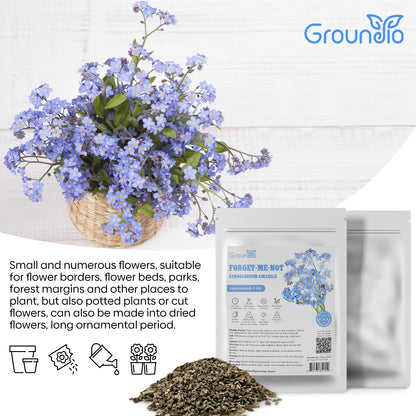 Forget me not 1oz