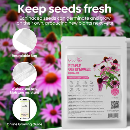 purple coneflower seeds 1oz