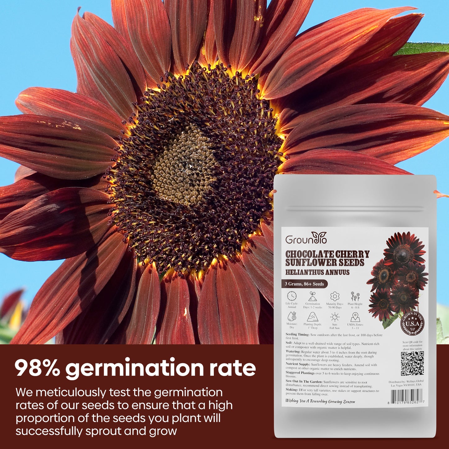 Chocolate Cherry Sunflower Seeds