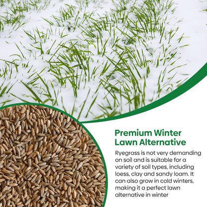 Winter rye 3lbs
