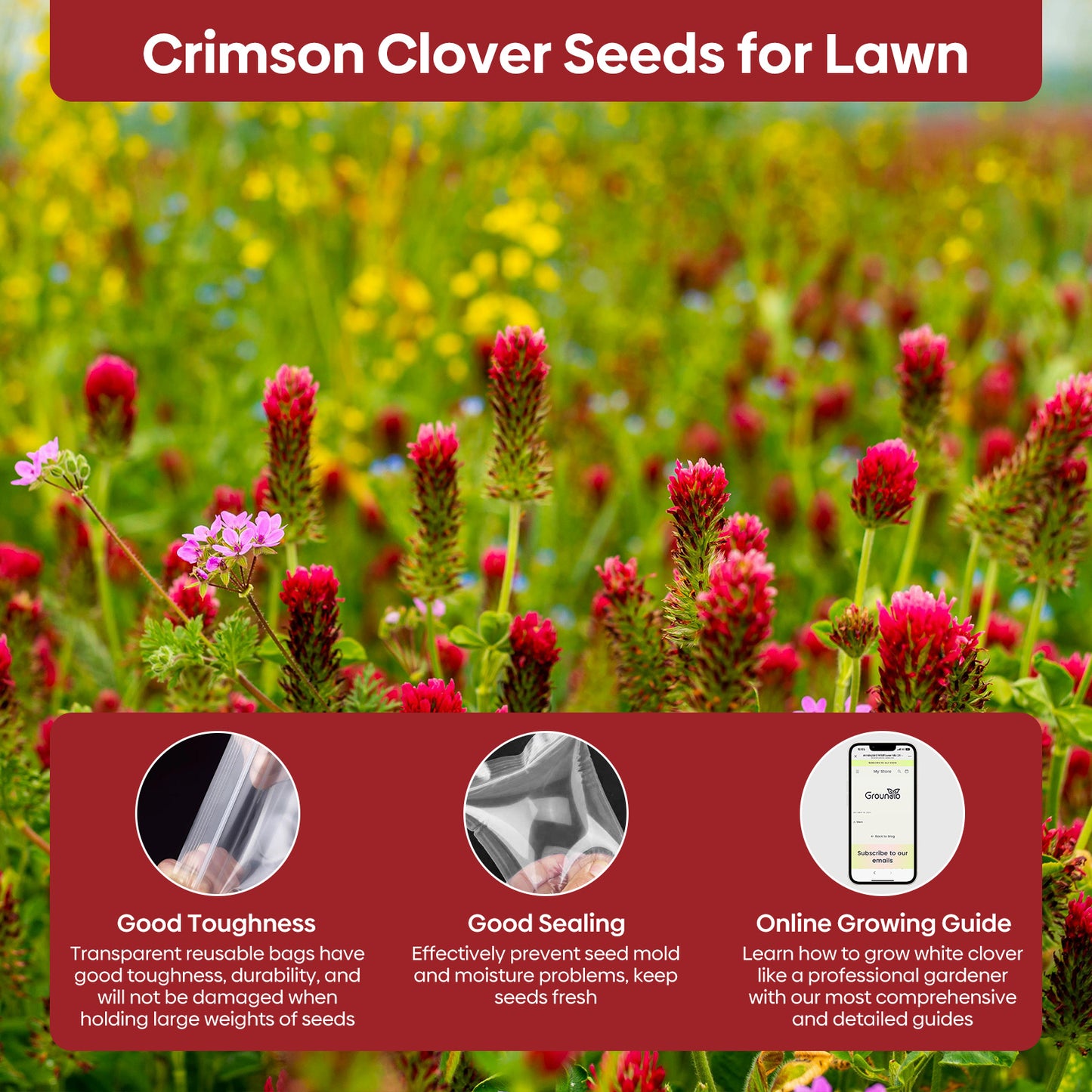Crimson Clover Seeds 2 lbs.