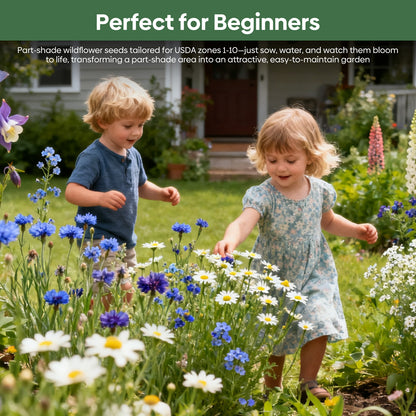 13 Varieties Partial Shade Wildflower Seeds