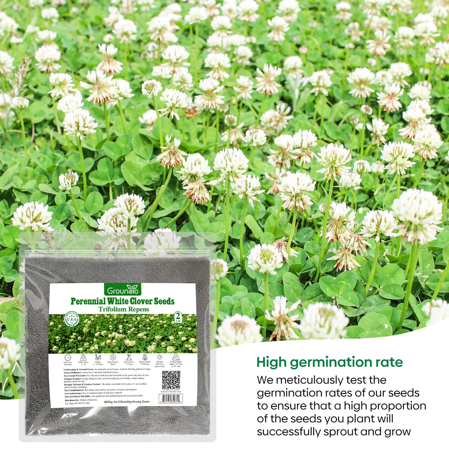 White Clover Seed 2 lbs.