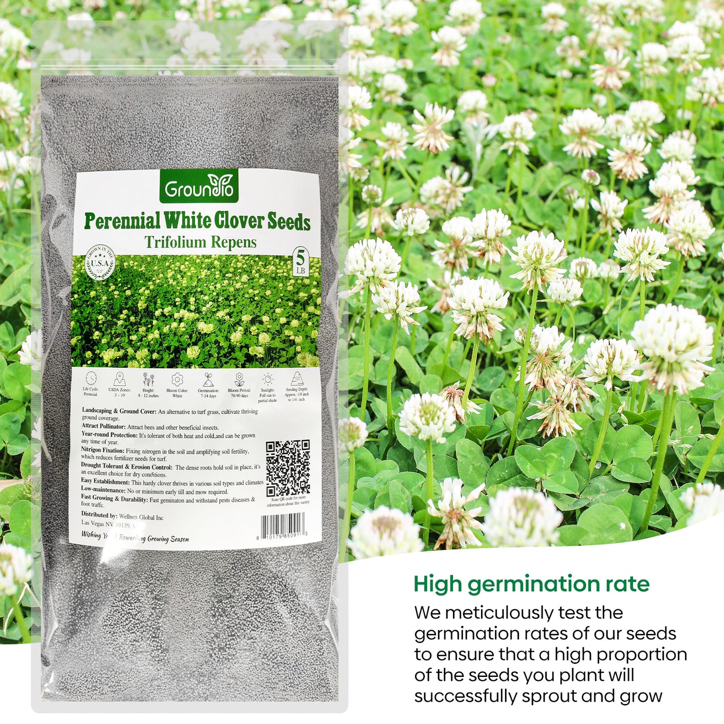 White Clover Seed 5 lbs.