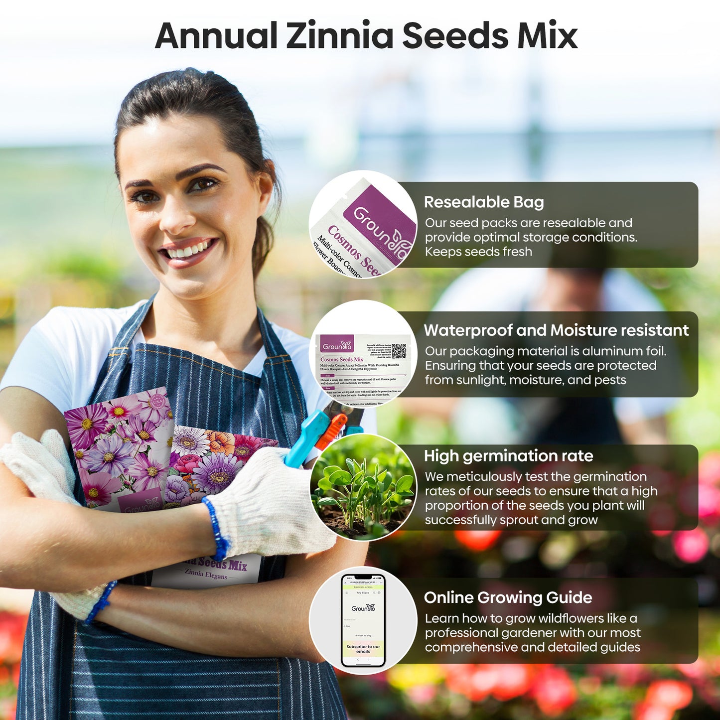 Cosmos Seeds Wildflower Mix 4 varieties