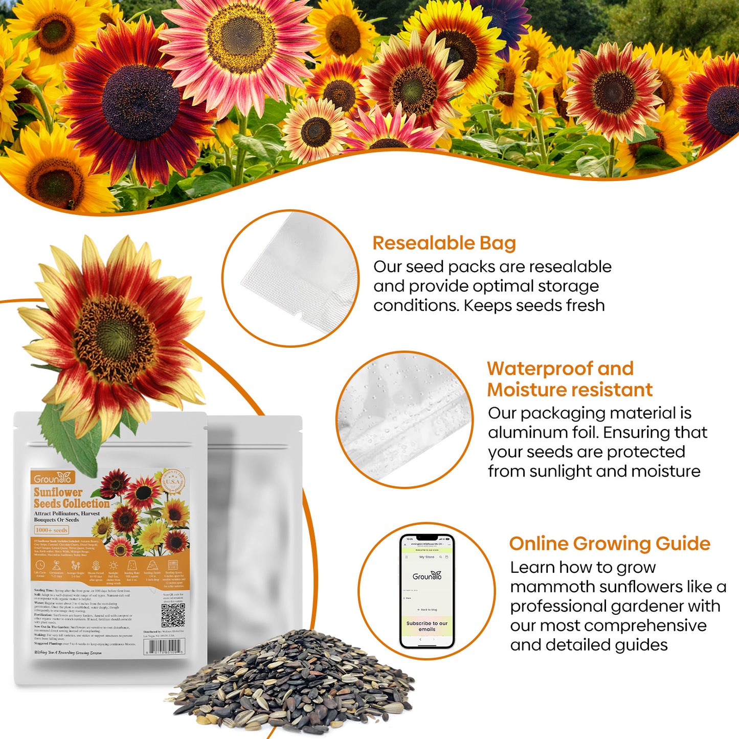 Mixed Sunflower Seeds 1oz