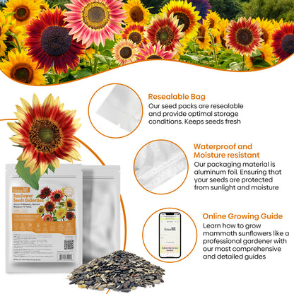 Mixed Sunflower Seeds 1oz
