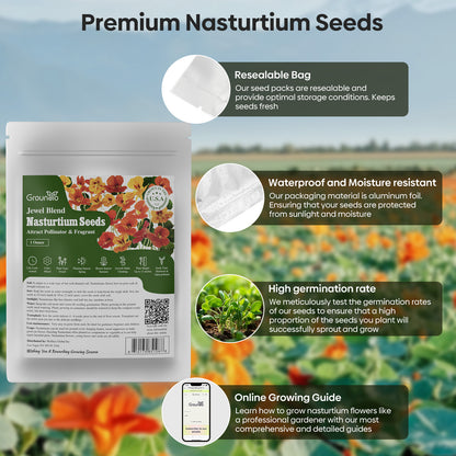 Nasturtium Seeds 1oz