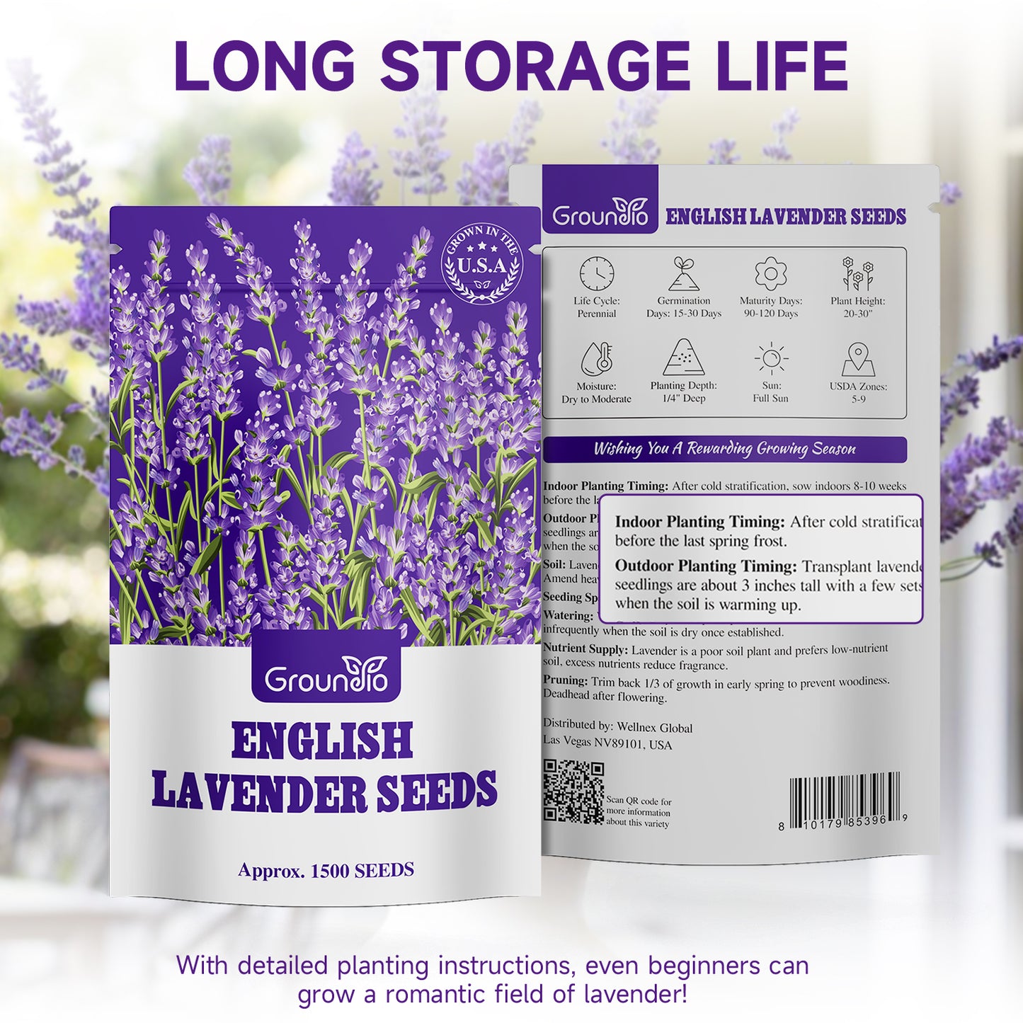 English Lavender Seeds, 1500+