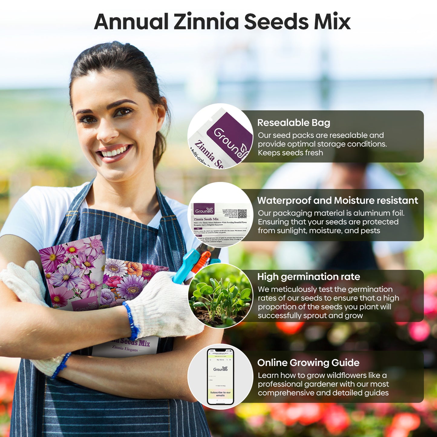 Zinnia Seeds Mix