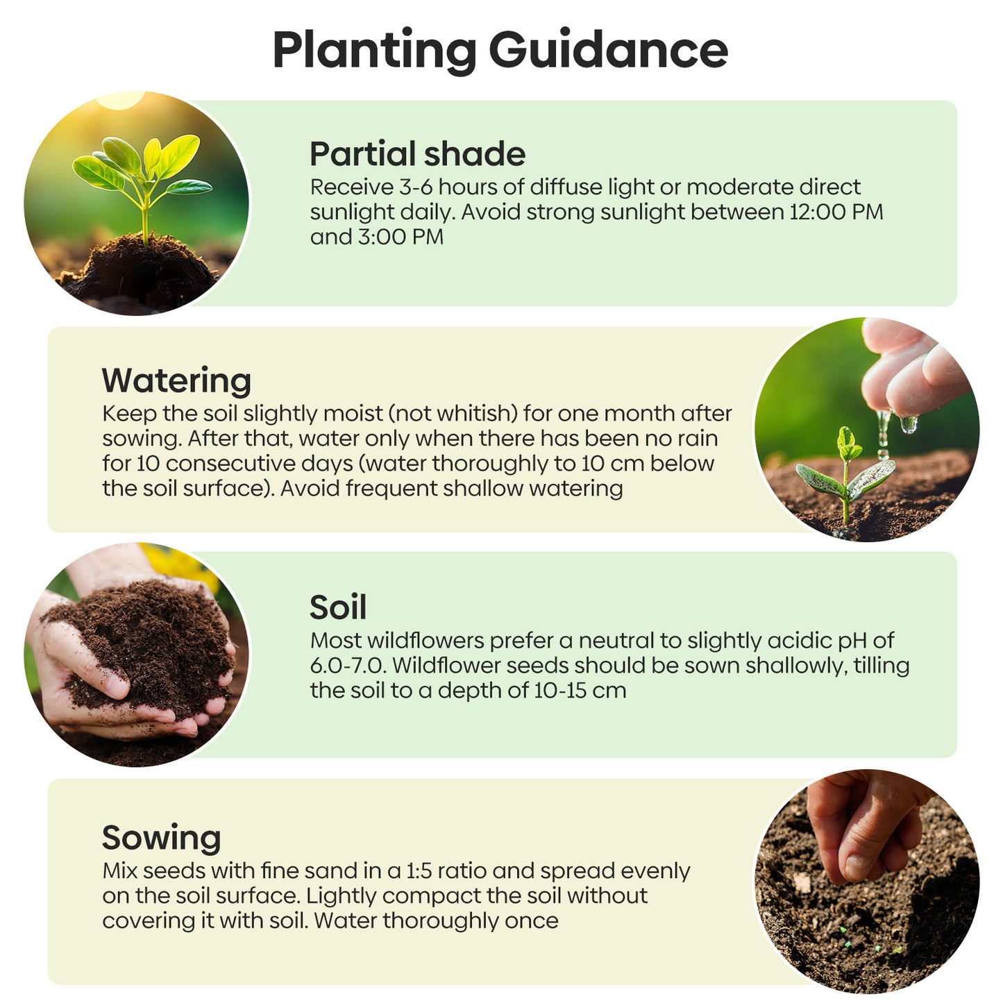 13 Varieties Partial Shade Wildflower Seeds