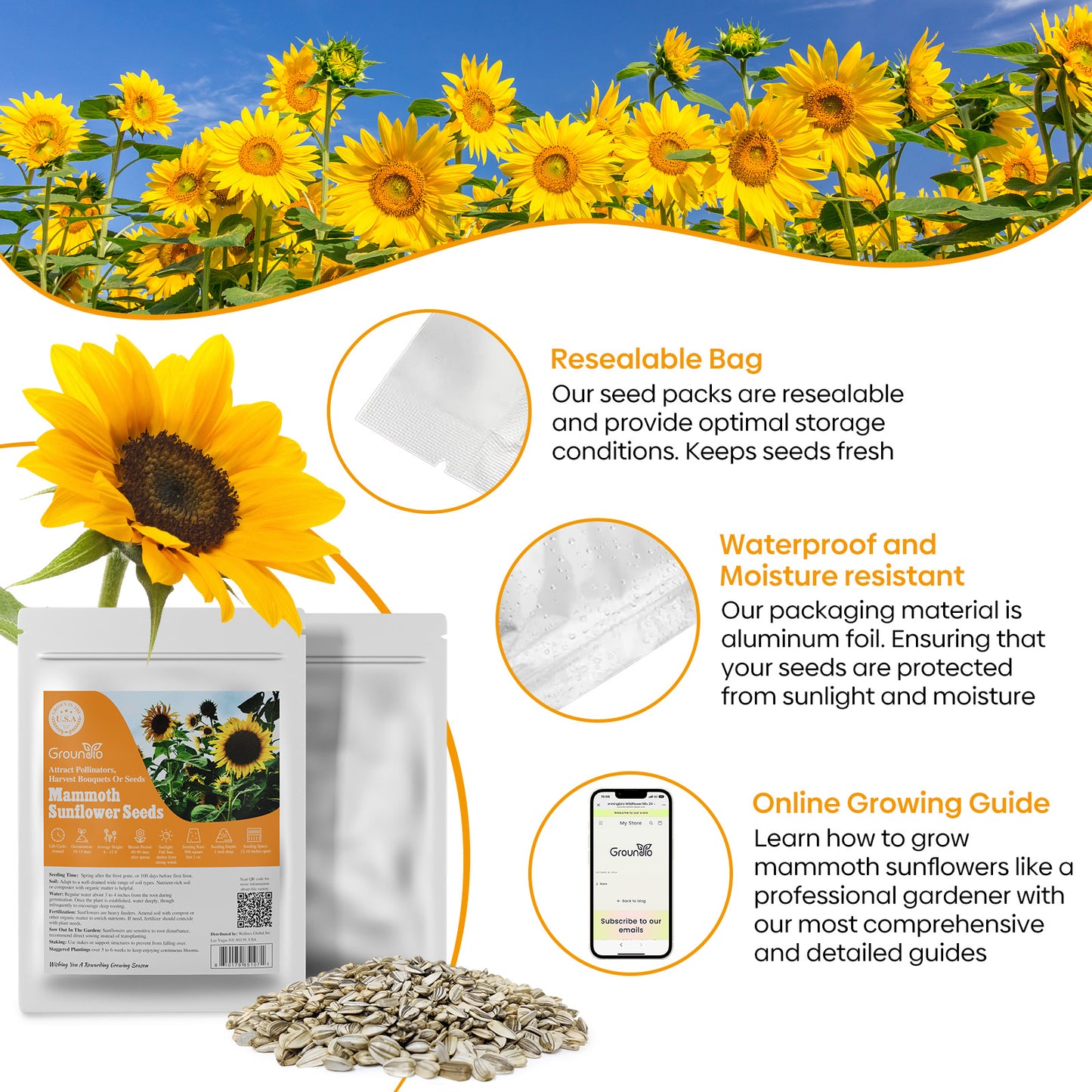 Mammoth Sunflower Seeds 1oz
