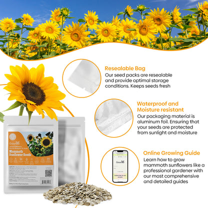 Mammoth Sunflower Seeds 1oz