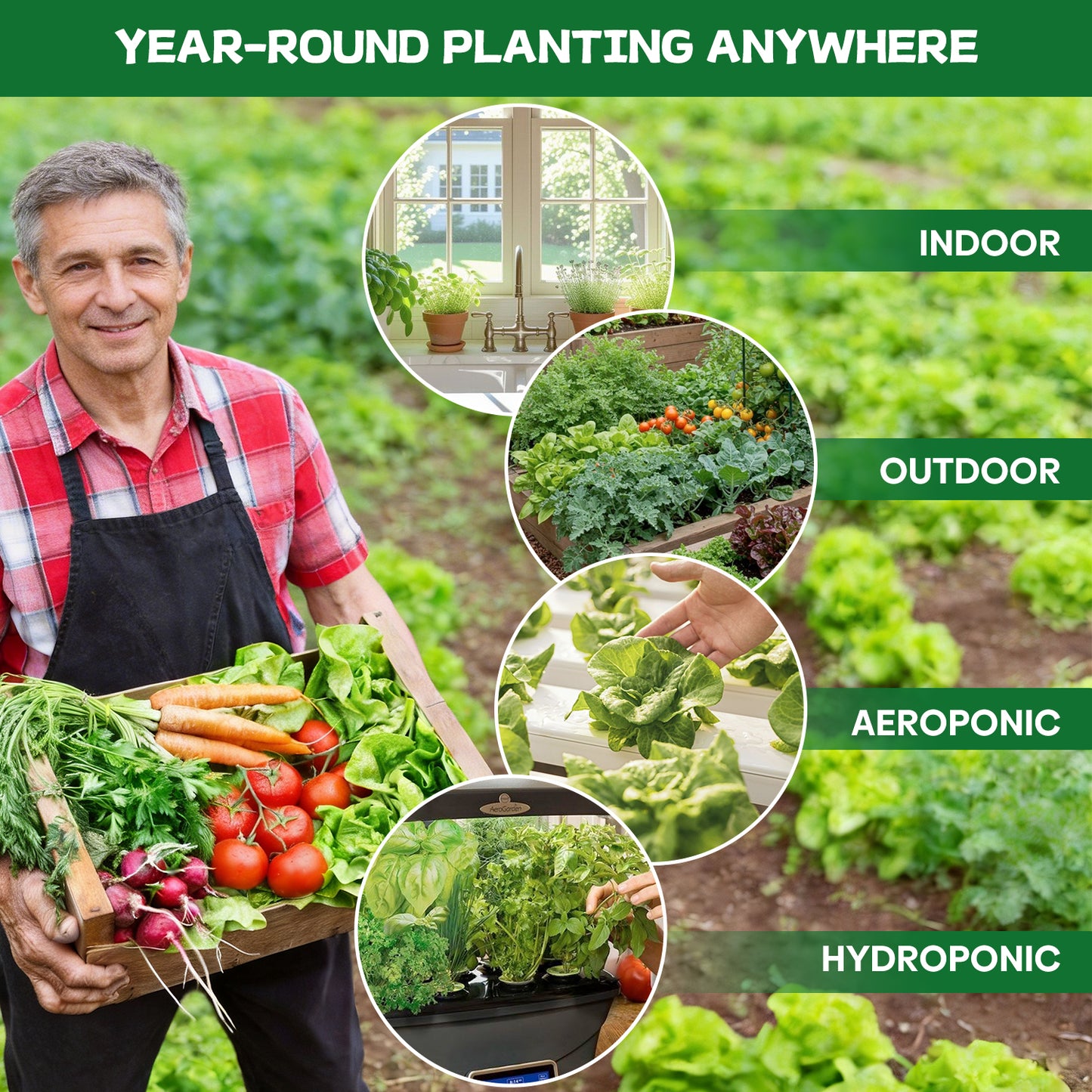 37 Vegetable Seeds Variety Pack - 25000+