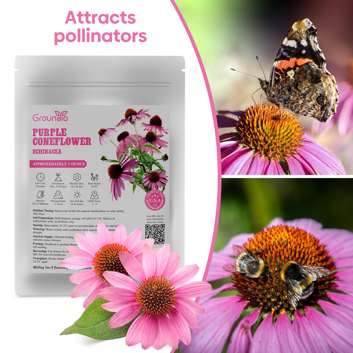 purple coneflower seeds 1oz