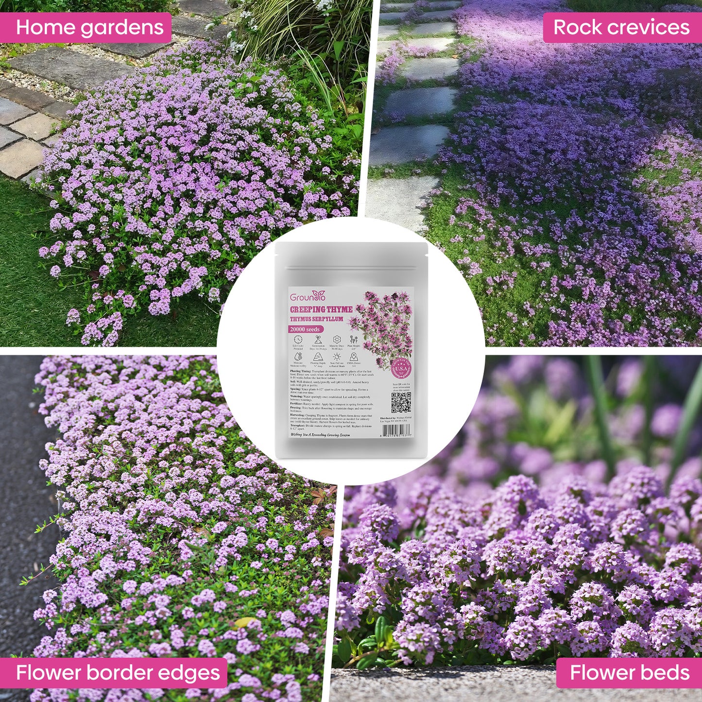 Creeping thyme 3g