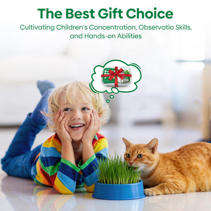 All in 1 Cat Grass Growing Kit for Indoor Cats, Organic Wheat & Oat Seed
