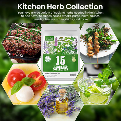 Herb seeds 15 mix