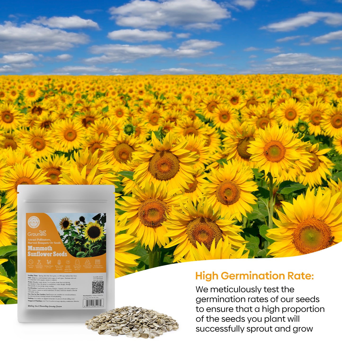 Mammoth Sunflower Seeds 1oz