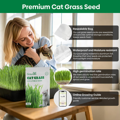 Cat Grass Seeds 8oz, Wheat & Oat Mix