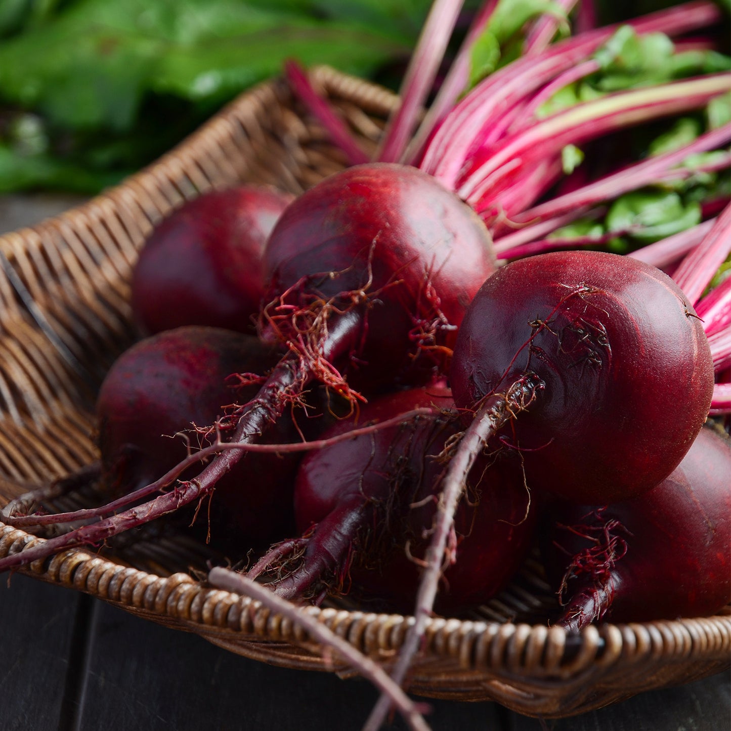 Beet Seeds Pack | 500+ Non-GMO Vegetable Seeds for Planting Indoor