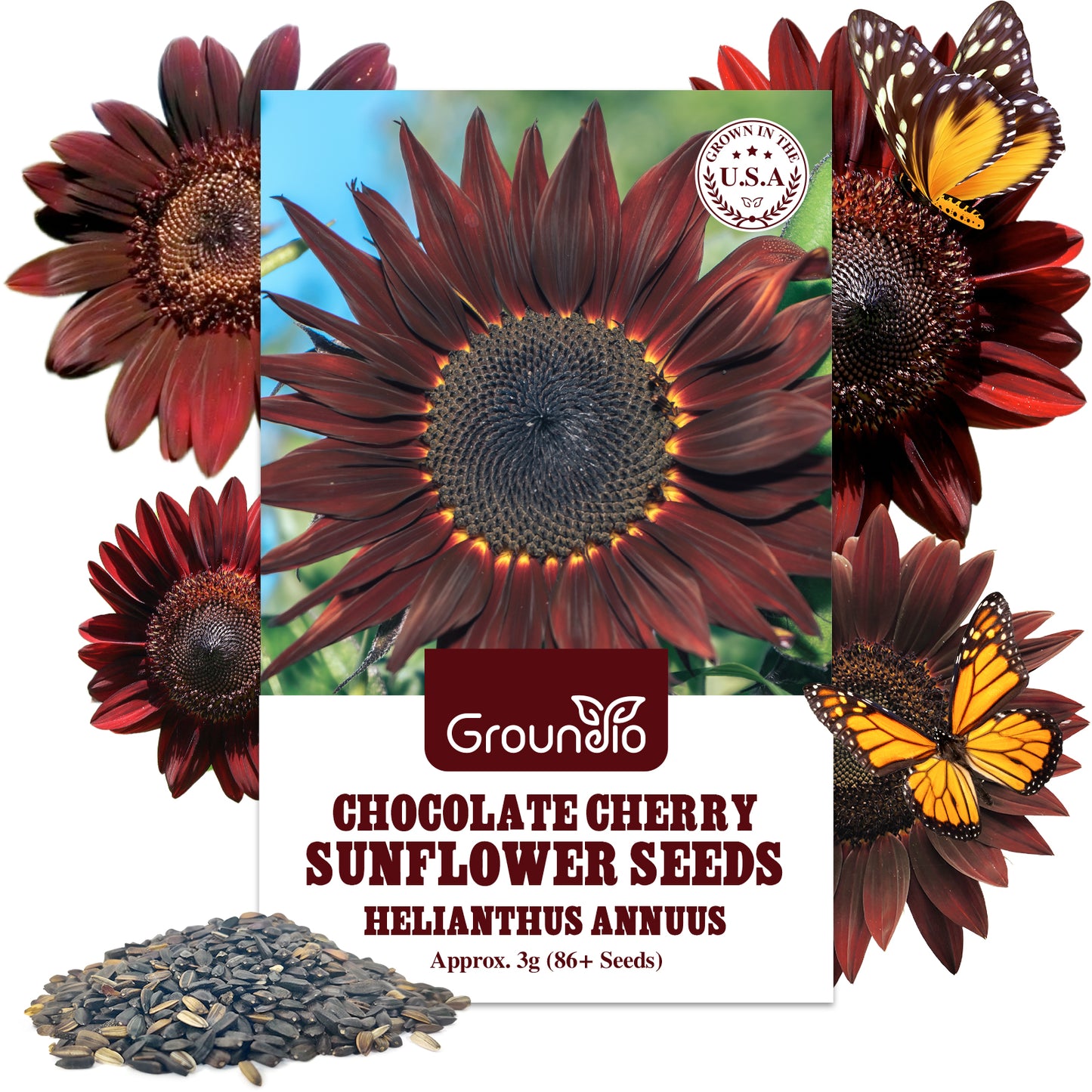 Chocolate Cherry Sunflower Seeds