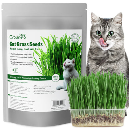 Cat grass seeds 16oz