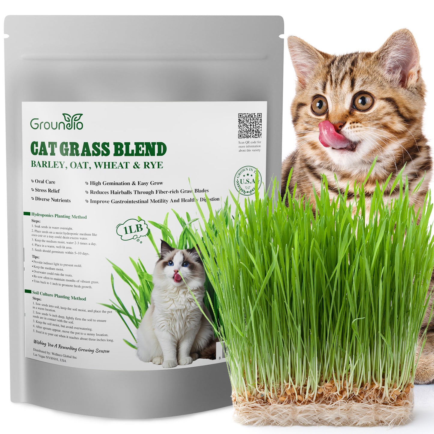 Cat grass 4 Varieties mix 16oz