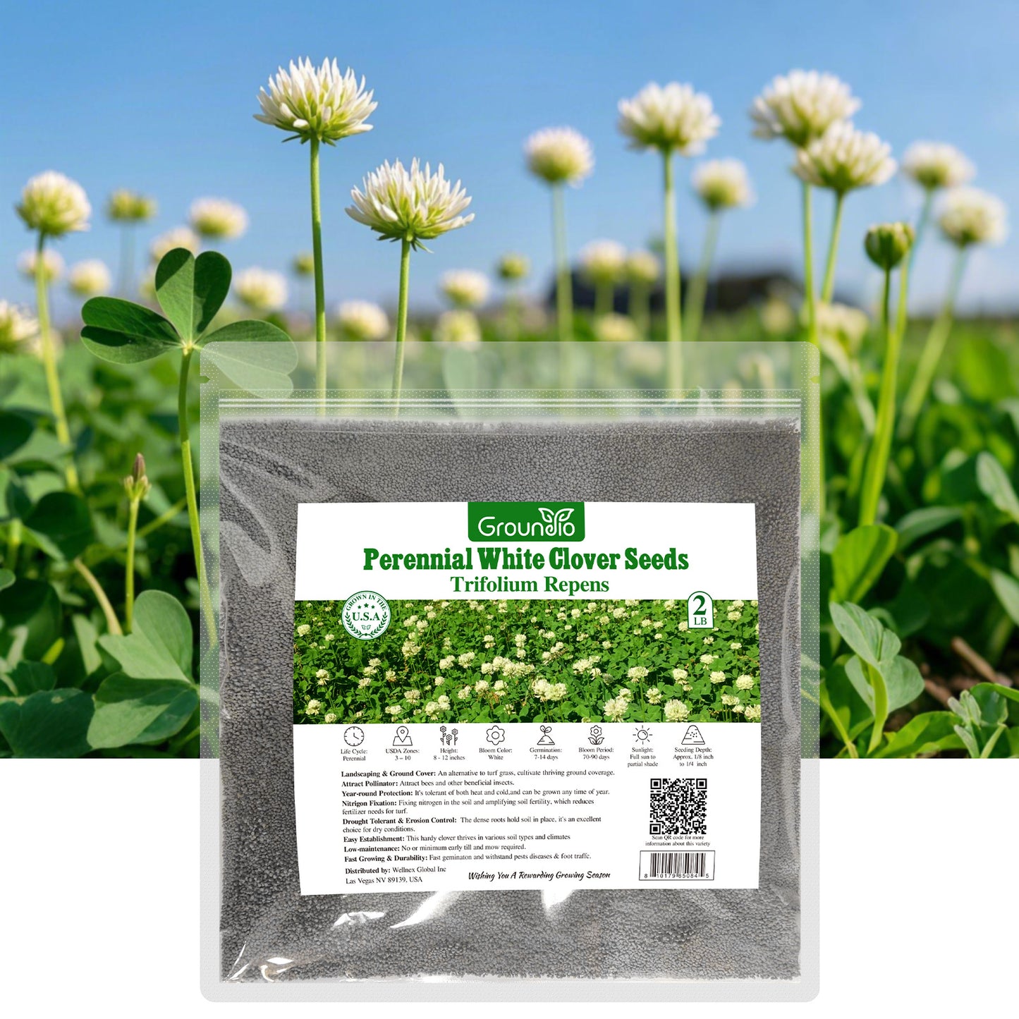 White Clover Seed 2 lbs.