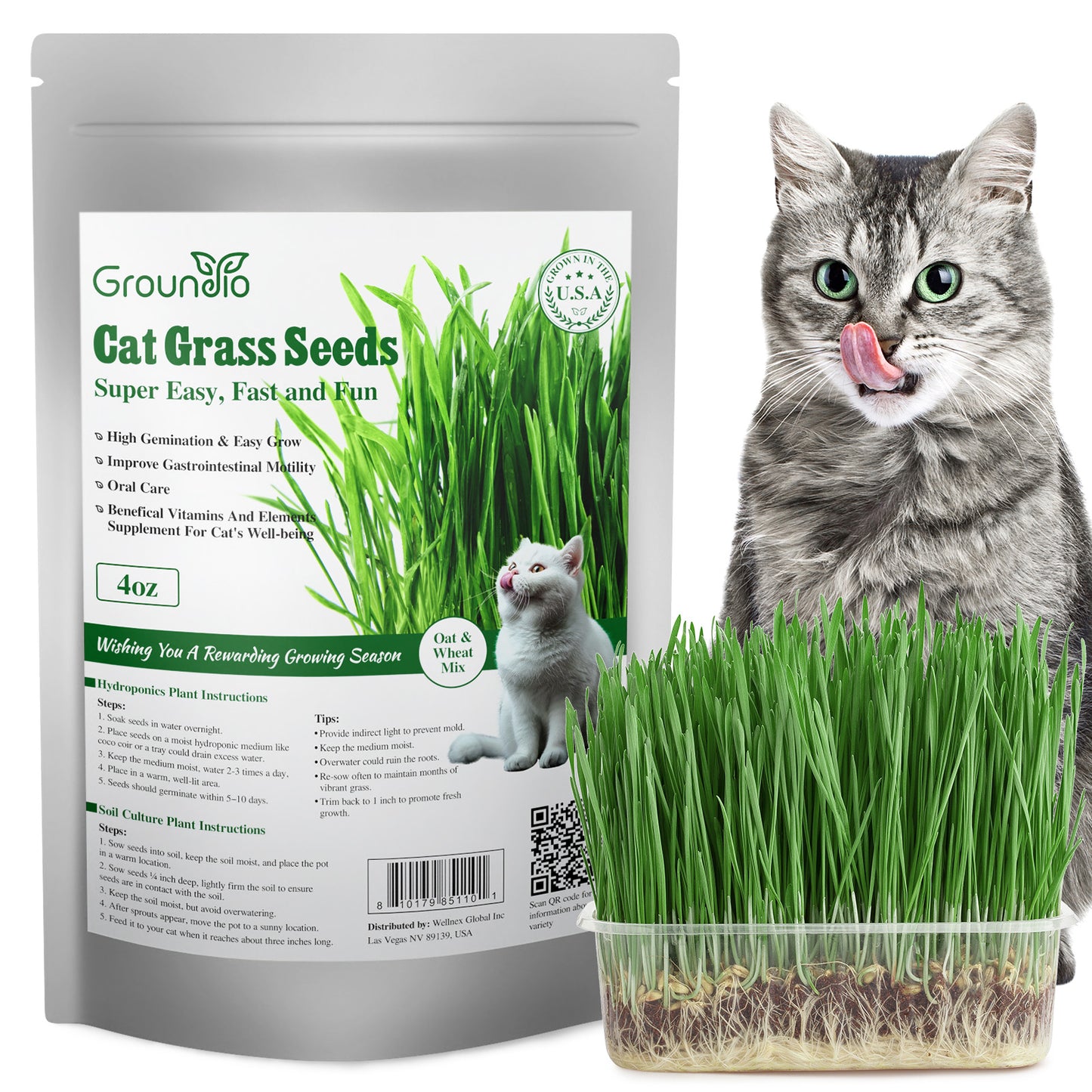 Cat grass seeds 4oz
