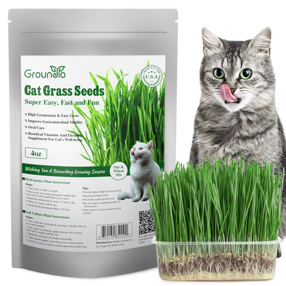 Cat grass seeds 4oz