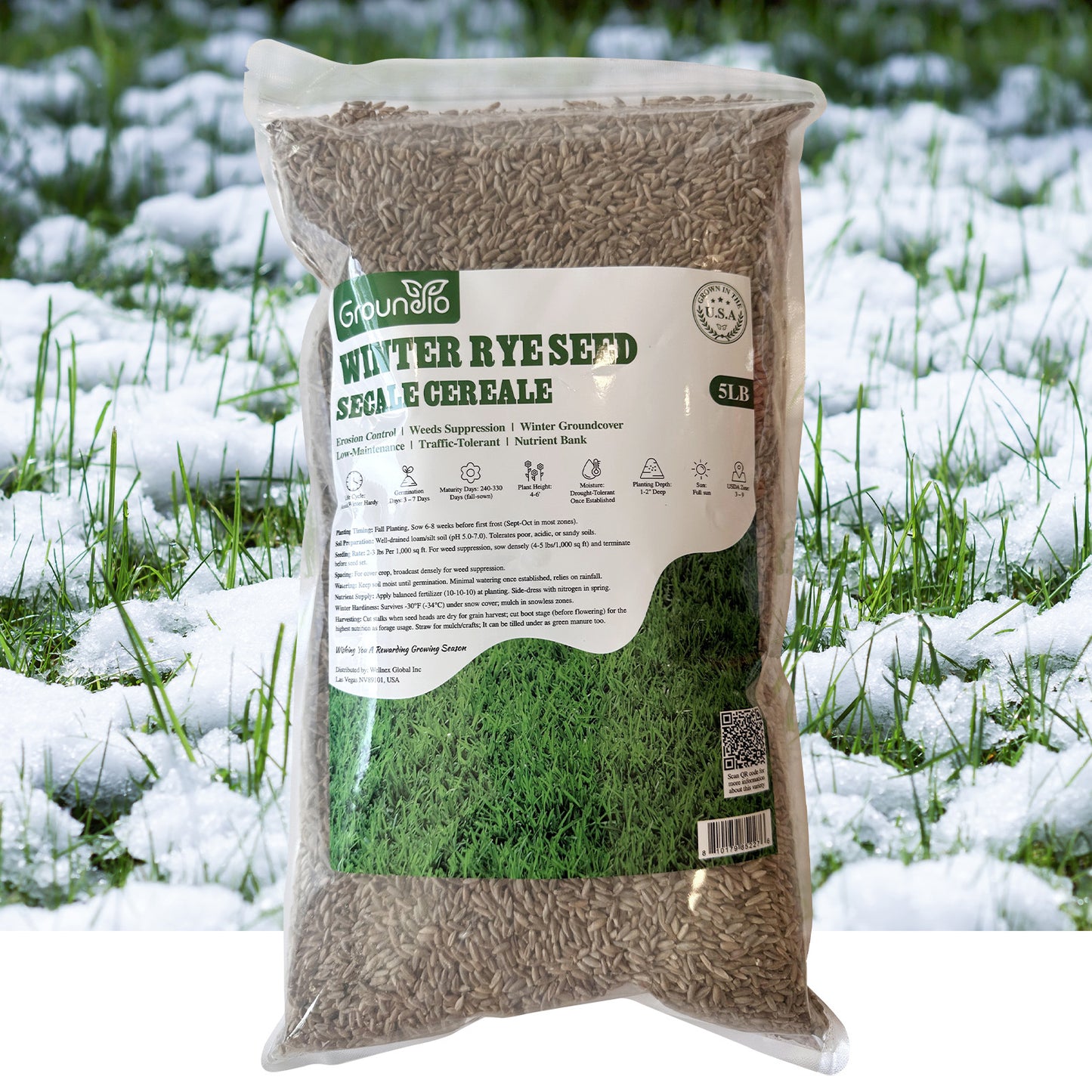 Winter Rye Seed 5 lbs.